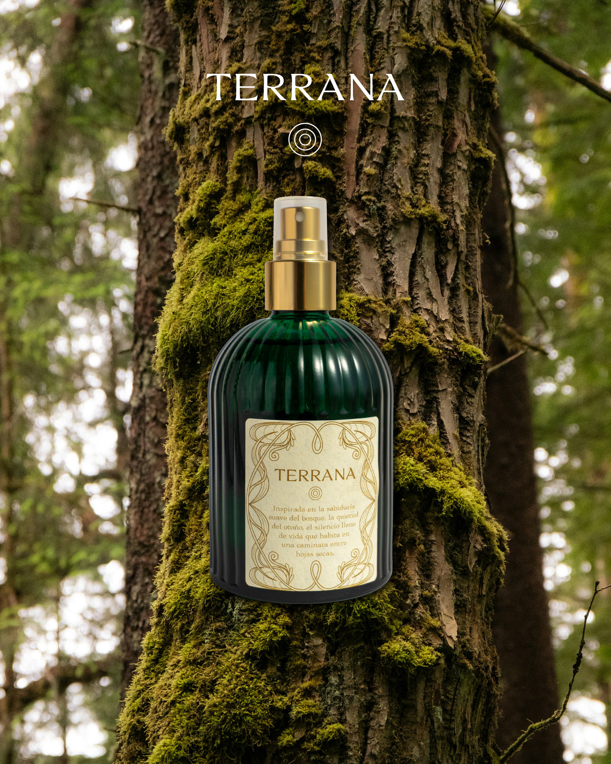 Home Perfume Terrana