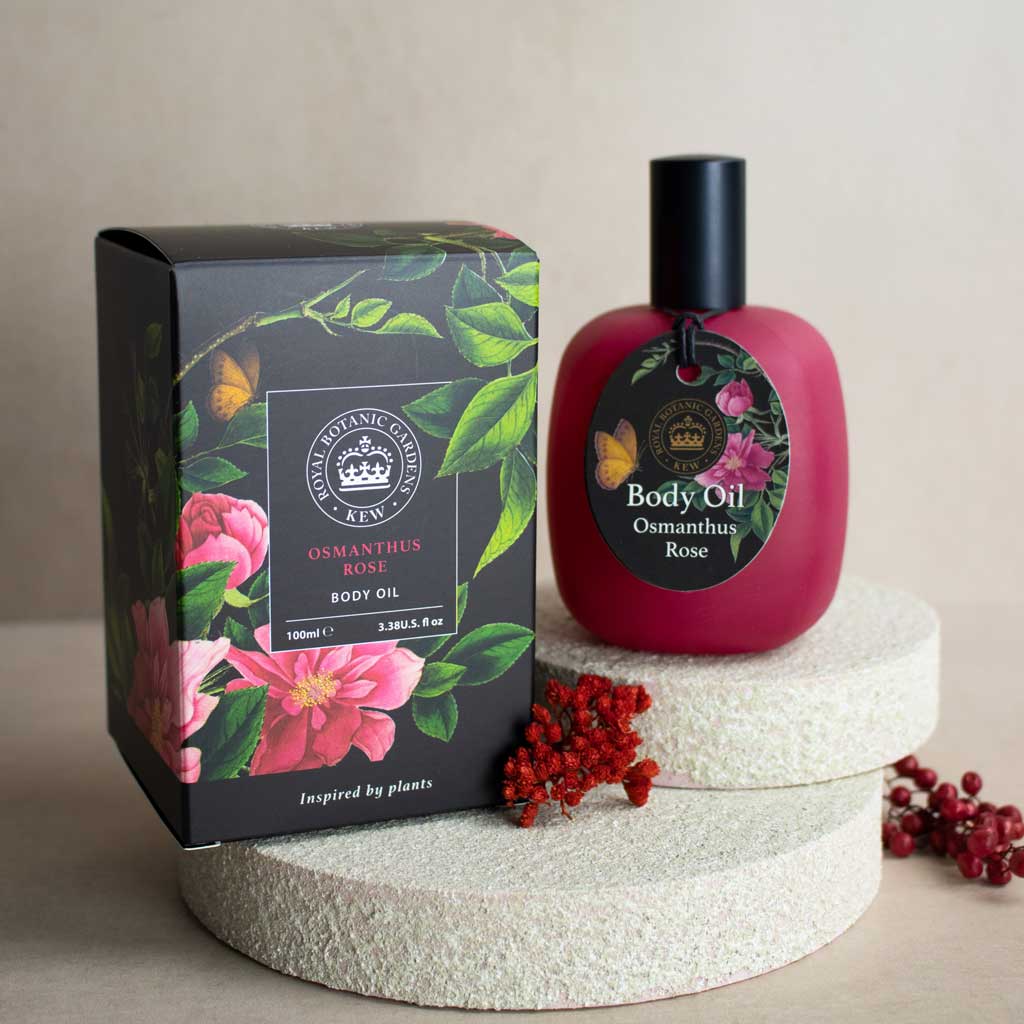 Body Oil Osmanthus Rose