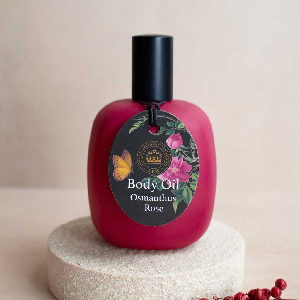 Body Oil Osmanthus Rose