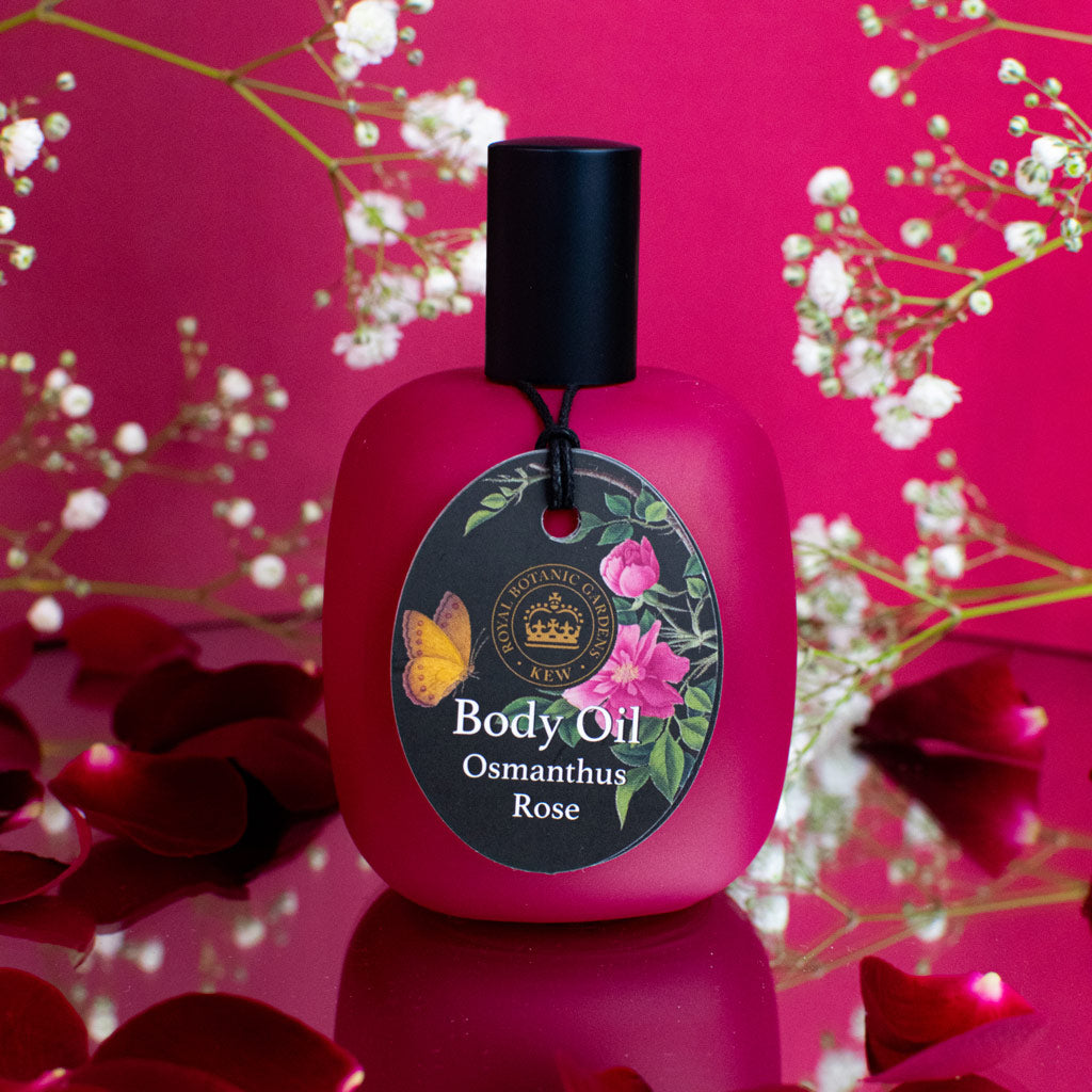 Body Oil Osmanthus Rose