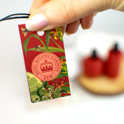 Eau de Toilette Bergamot & Ginger