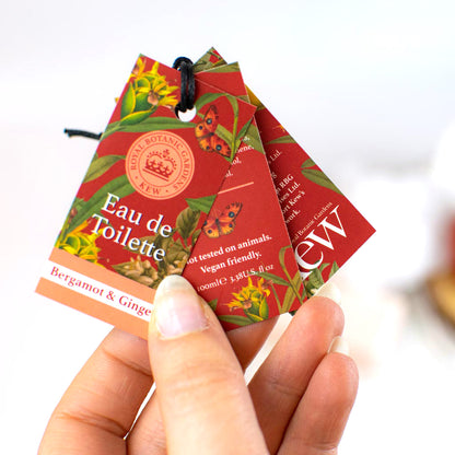 Eau de Toilette Bergamot & Ginger