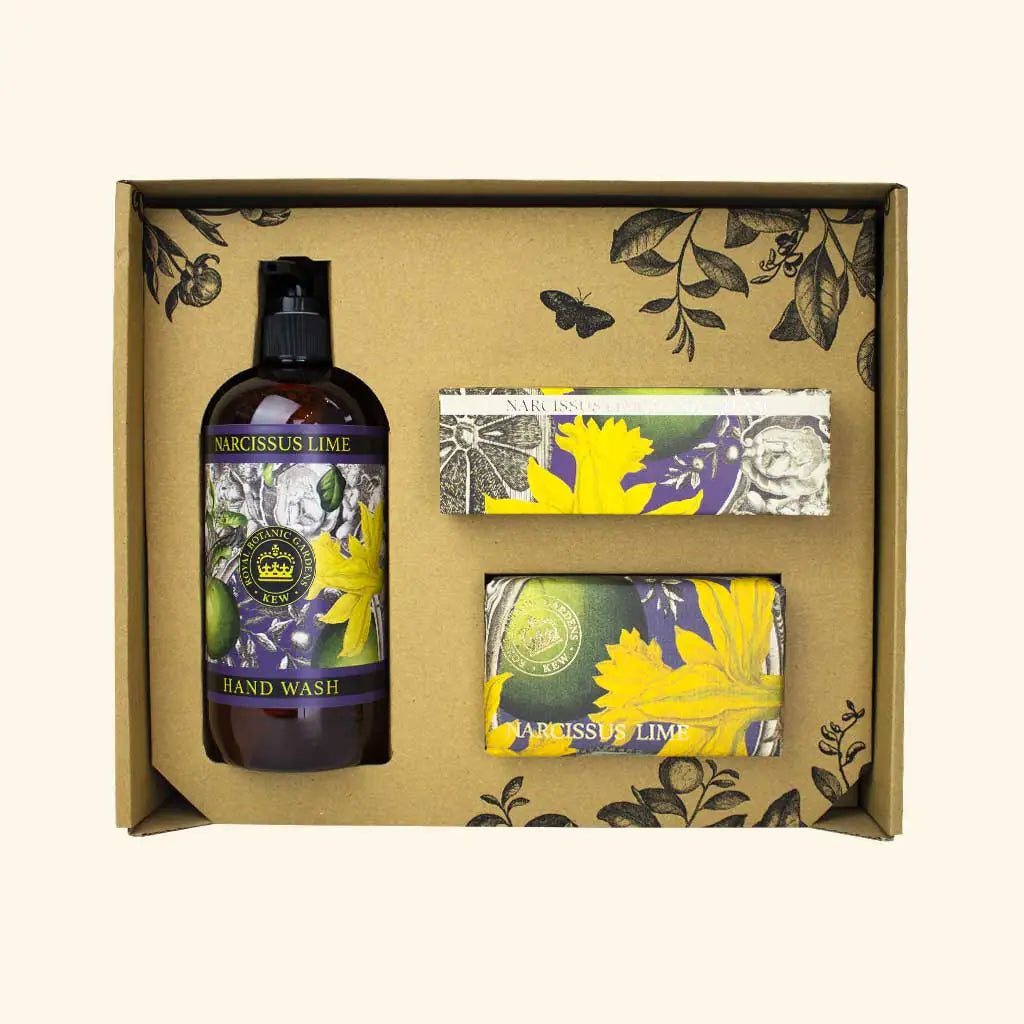 Gift Box Narcissus Lime