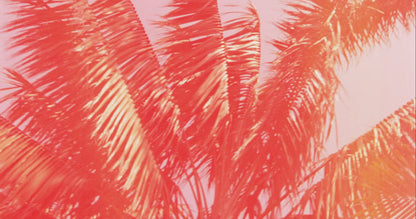 Vela vidrio gigante 5 mechas California Summers